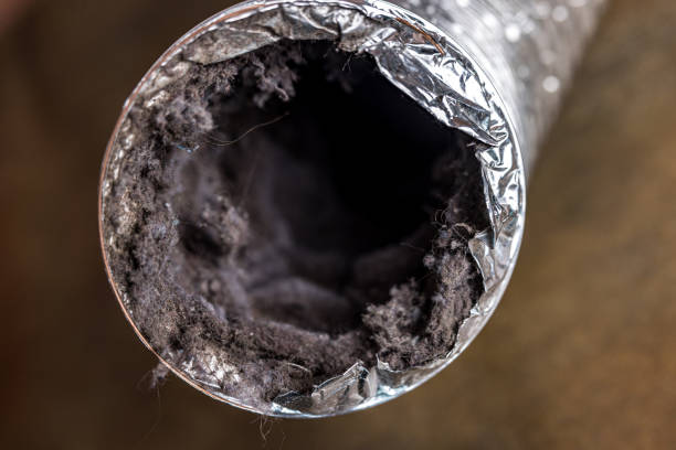 Best HVAC Air Duct Cleaning  in , VA