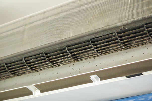 Best Affordable Duct Cleaning Services  in , VA